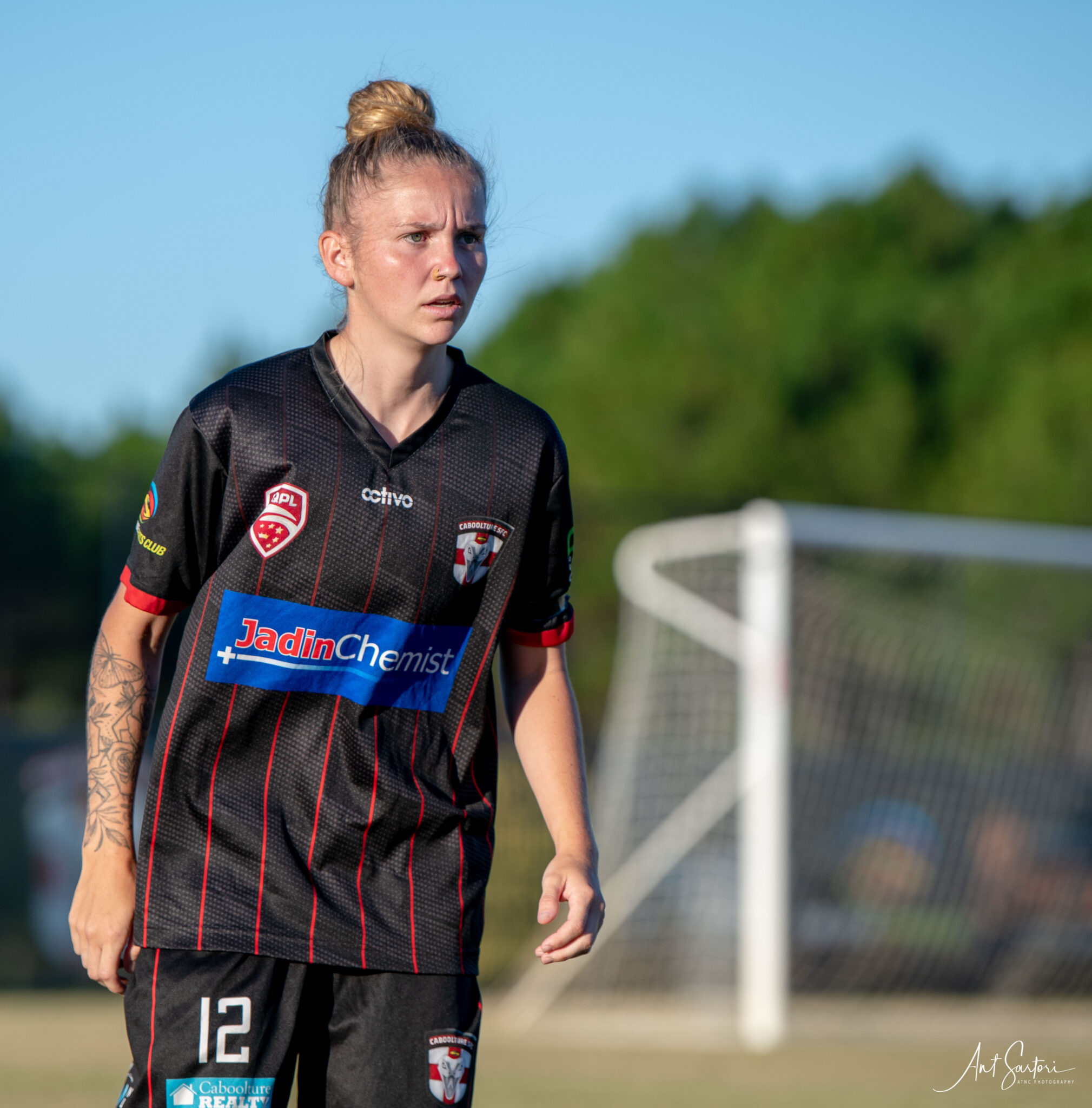 Gallery | Octivo