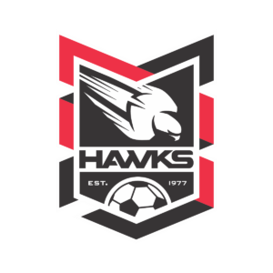 Holland Park Hawks